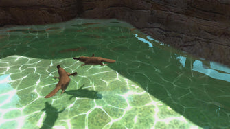 Buy Xbox One,Zoo Tycoon: Ultimate Animal Collection - Xbox One Game - Gadcet UK | UK | London | Scotland | Wales| Near Me | Cheap | Pay In 3 | Video Game Software