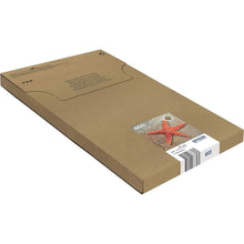 Buy ‎EPSON,Epson 603 Starfish Genuine Multipack, Eco-Friendly Packaging, 4-Colours Ink Cartridges - Gadcet UK | UK | London | Scotland | Wales| Ireland | Near Me | Cheap | Pay In 3 | Toner & Inkjet Cartridges