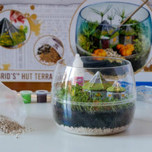 Buy Clementoni,Clementoni Harry Potter Terrarium Kit: Build Your Magical Greenhouse (Model 19248) - Gadcet UK | UK | London | Scotland | Wales| Near Me | Cheap | Pay In 3 | Toys & Games