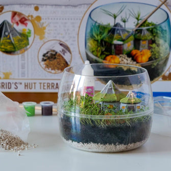 Clementoni Harry Potter Terrarium Kit: Build Your Magical Greenhouse (Model 19248)