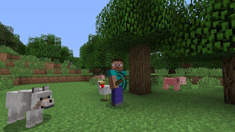 Buy PlayStation,Minecraft - PS4 Game - Gadcet UK | UK | London | Scotland | Wales| Near Me | Cheap | Pay In 3 | Video Game Software