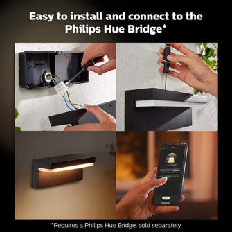 Buy Philips Hue,Philips Hue Nyro White and Colour Ambiance LED Smart Outdoor Wall Light for Garden, Patio. [Black] Compatible with Alexa, Google Assistant and Apple HomeKit - Gadcet UK | UK | London | Scotland | Wales| Ireland | Near Me | Cheap | Pay In 3 | Lighting Accessories
