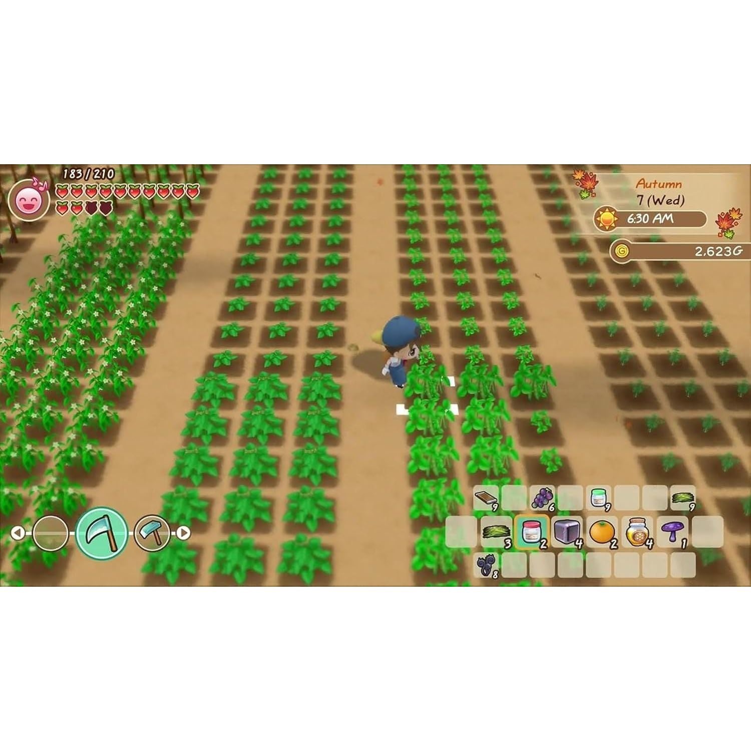 Buy Nintendo Game,Story of Seasons: Friends Of Mineral Town - Nintendo Switch Game - Gadcet UK | UK | London | Scotland | Wales| Near Me | Cheap | Pay In 3 | Video Game Software