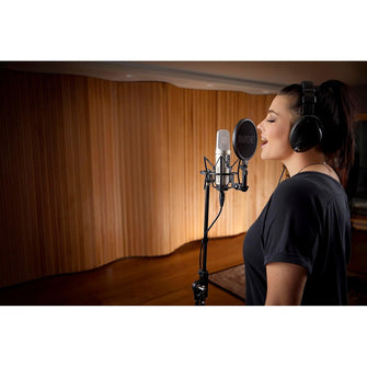 RØDE NT2-A Large-Diaphragm Condenser Microphone – Switchable Polar Patterns, Pad & High-Pass Filter