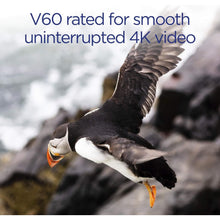 Buy Integral,Integral 64GB UHS-II SD Card V60 Up to 260MBs Read and 100MBs Write Speed 1733X SDXC Professional High Speed Memory Card - Gadcet UK | UK | London | Scotland | Wales| Near Me | Cheap | Pay In 3 | Flash Memory Cards