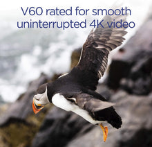 Buy Integral,Integral 64GB UHS-II SD Card V60 Up to 260MBs Read and 100MBs Write Speed 1733X SDXC Professional High Speed Memory Card - Gadcet UK | UK | London | Scotland | Wales| Near Me | Cheap | Pay In 3 | Flash Memory Cards