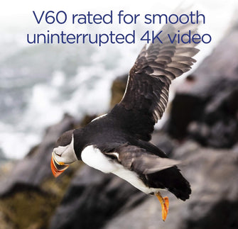 Buy Integral,Integral 64GB UHS-II SD Card V60 Up to 260MBs Read and 100MBs Write Speed 1733X SDXC Professional High Speed Memory Card - Gadcet UK | UK | London | Scotland | Wales| Near Me | Cheap | Pay In 3 | Flash Memory Cards