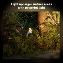 Buy Philips Hue,Philips Hue Lily XL White and Colour Ambiance LED Outdoor Smart Light [Extension Only] , Requires Hue Bridge + Base Kit (Sold Seperately), Works with Alexa, Google Assistant and Apple Homekit. - Gadcet UK | UK | London | Scotland | Wales| Ireland | Near Me | Cheap | Pay In 3 | Electronics Accessories