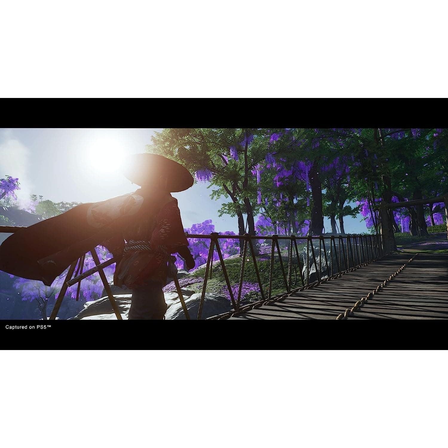 Buy Sony,Ghost of Tsushima: Director’s Cut (PS5) - Gadcet UK | UK | London | Scotland | Wales| Ireland | Near Me | Cheap | Pay In 3 | Video Game Software