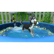 Buy Nintendo,Fireshine Games Little Friends: Puppy Island - Gadcet UK | UK | London | Scotland | Wales| Ireland | Near Me | Cheap | Pay In 3 | Games