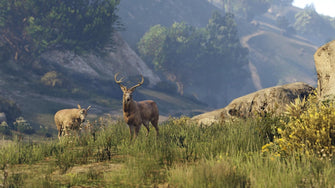 Buy Xbox One,Grand Theft Auto V - Xbox One Game - Gadcet UK | UK | London | Scotland | Wales| Near Me | Cheap | Pay In 3 | Video Game Software