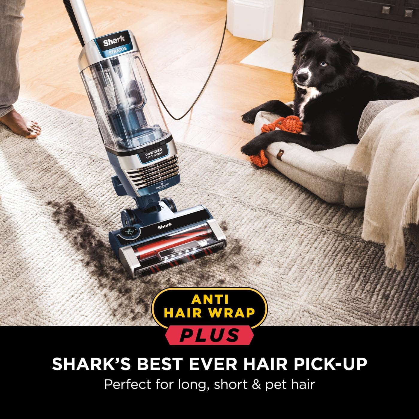 Buy Shark,Shark Stratos XL 2.6L Corded Upright Vacuum Cleaner - Anti Hair Wrap Plus, Anti-Odour, Pet, Crevice & Multi-Surface Tools, Portable, 800W, Navy Blue [AZ3000UKT] - Gadcet UK | UK | London | Scotland | Wales| Near Me | Cheap | Pay In 3 | Vaccum Cleaner