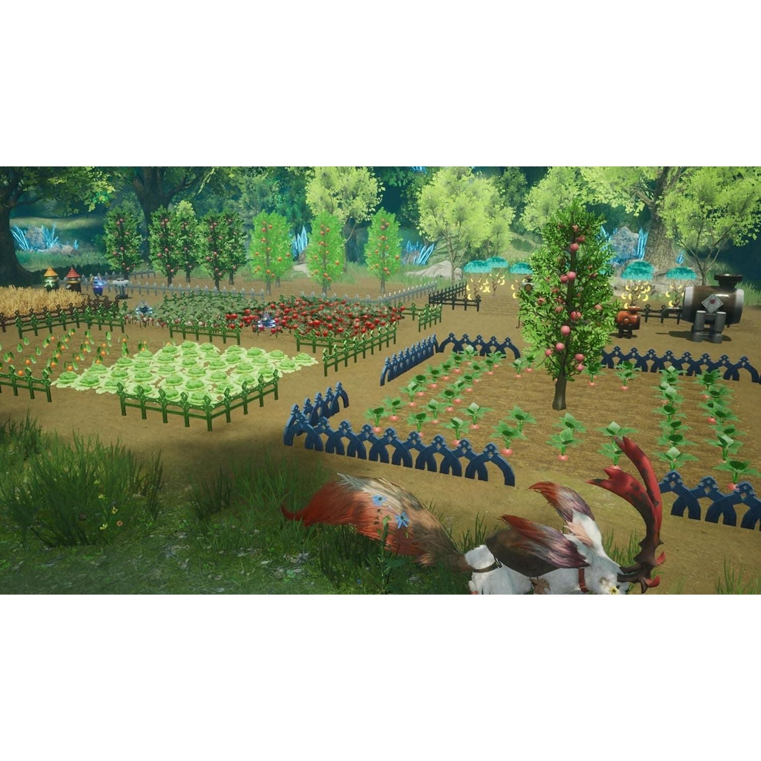 Buy Nintendo,Harvestella -  Nintendo Switch - Gadcet UK | UK | London | Scotland | Wales| Ireland | Near Me | Cheap | Pay In 3 | Video Game Software