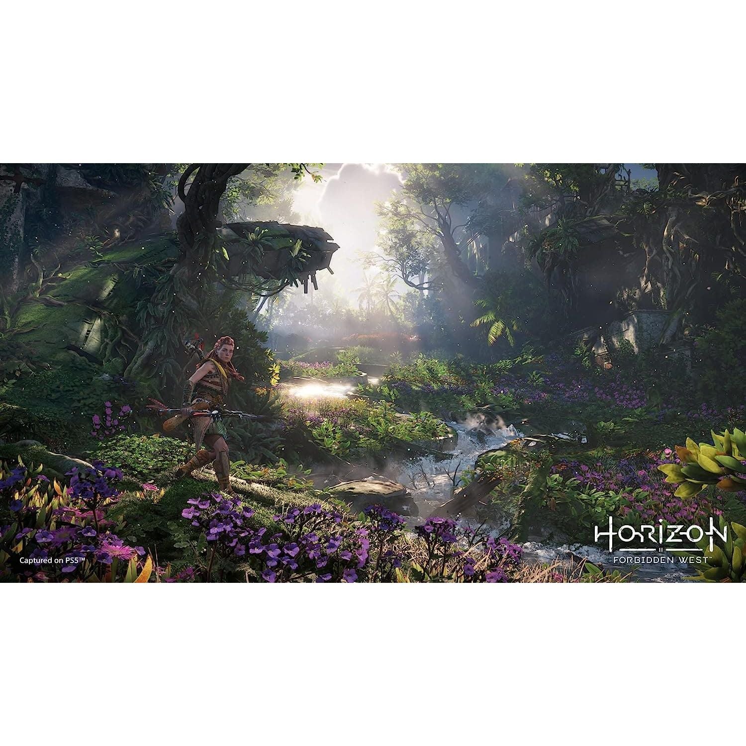 Buy Play station,Horizon Forbidden West (PS5) - Gadcet.com | UK | London | Scotland | Wales| Ireland | Near Me | Cheap | Pay In 3 | PS5 game