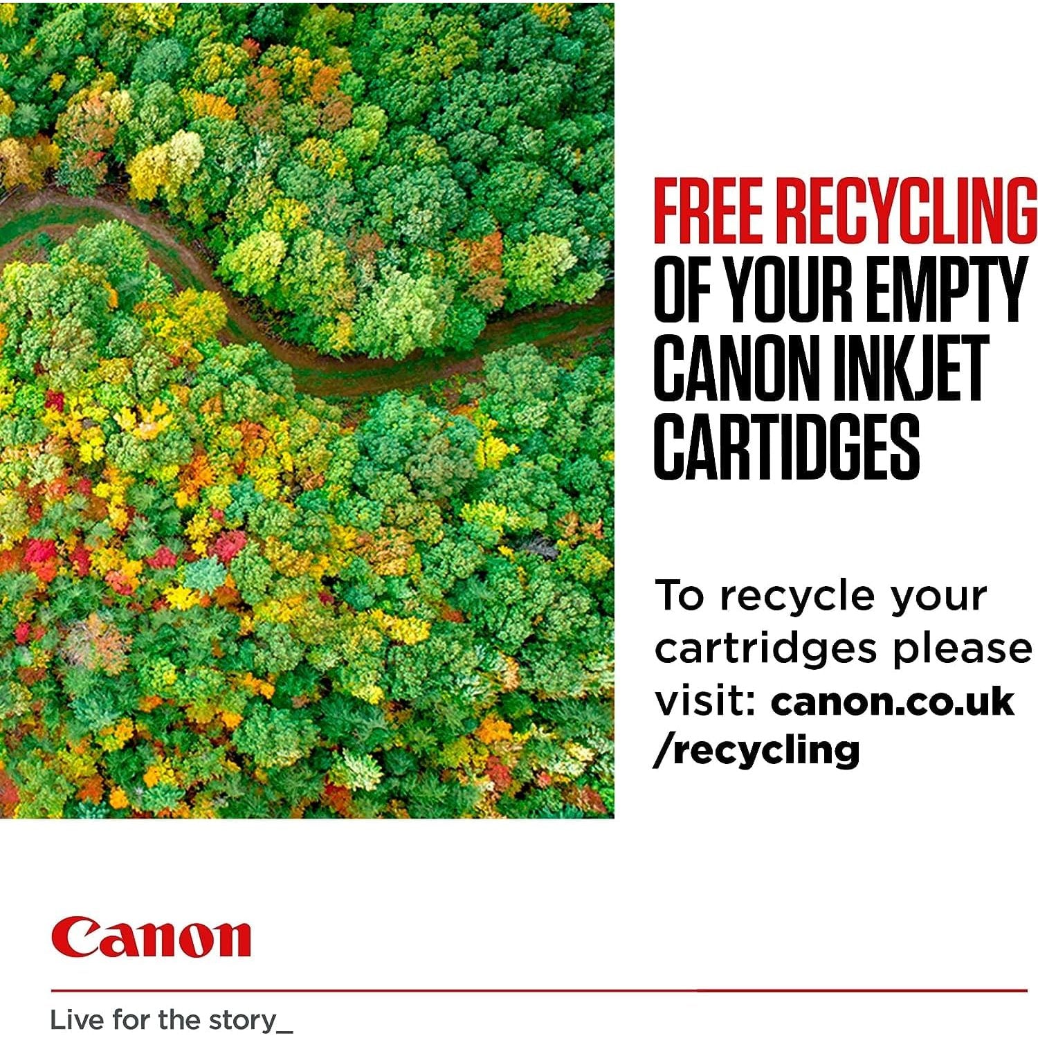 Buy Canon,Canon PG-540 Black + CL-541 Colour Genuine Ink Cartridges – Multipack - Gadcet UK | UK | London | Scotland | Wales| Near Me | Cheap | Pay In 3 | Toner & Inkjet Cartridge Refills