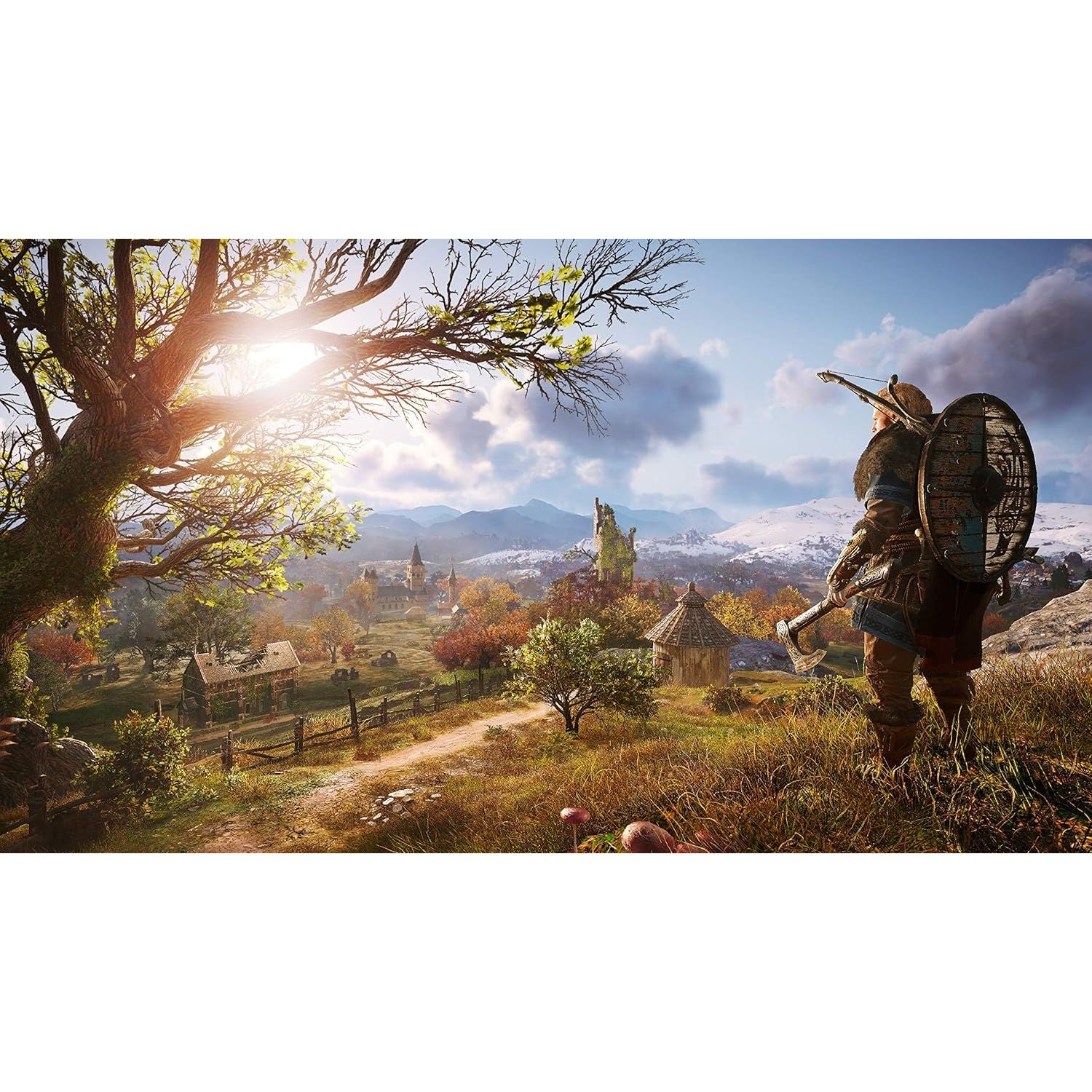 Buy PlayStation,Assassin's Creed Valhalla Limited Edition - PS4 Game - Gadcet UK | UK | London | Scotland | Wales| Near Me | Cheap | Pay In 3 | Video Game Software