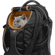 Buy Kurgo,Kurgo G-Train Pack, Carrier Backpack for Small Dogs and Cats, Ideal for Hiking or Travel, Waterproof Bottom, Black - Gadcet UK | UK | London | Scotland | Wales| Ireland | Near Me | Cheap | Pay In 3 | Apparel & Accessories