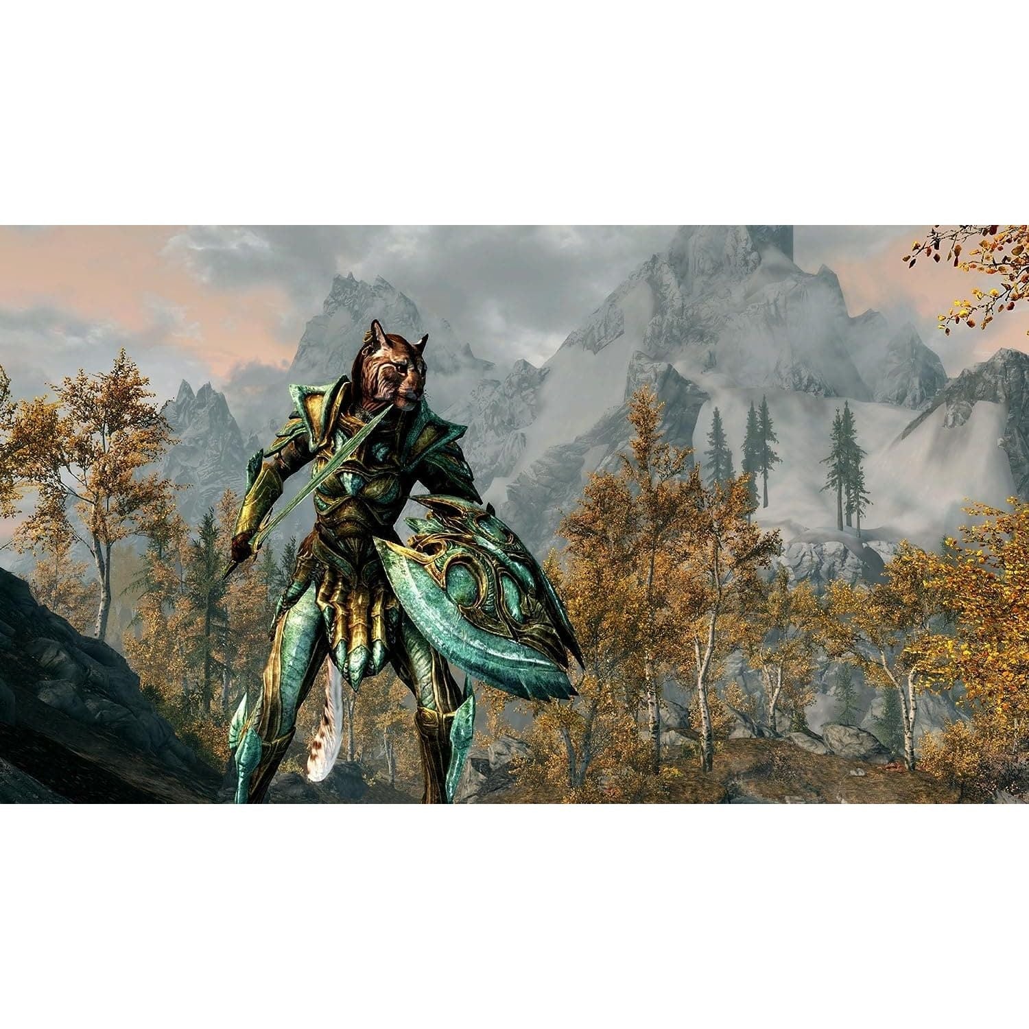 91gzIoCNG_L._AC_SL1500.jpg