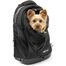 Buy Kurgo,Kurgo G-Train Pack, Carrier Backpack for Small Dogs and Cats, Ideal for Hiking or Travel, Waterproof Bottom, Black - Gadcet UK | UK | London | Scotland | Wales| Ireland | Near Me | Cheap | Pay In 3 | Apparel & Accessories