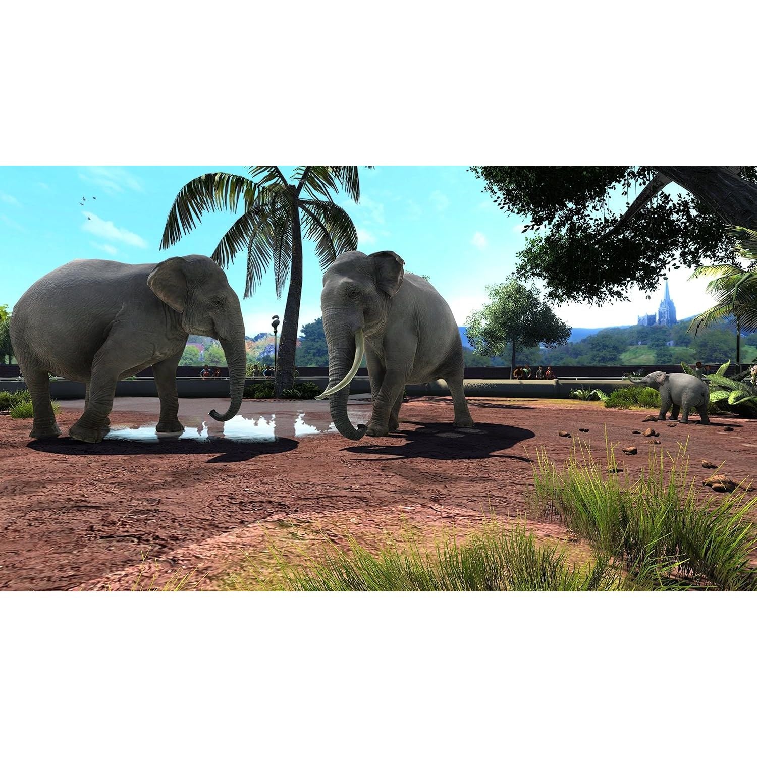 Buy Xbox One,Zoo Tycoon: Ultimate Animal Collection - Xbox One Game - Gadcet UK | UK | London | Scotland | Wales| Near Me | Cheap | Pay In 3 | Video Game Software