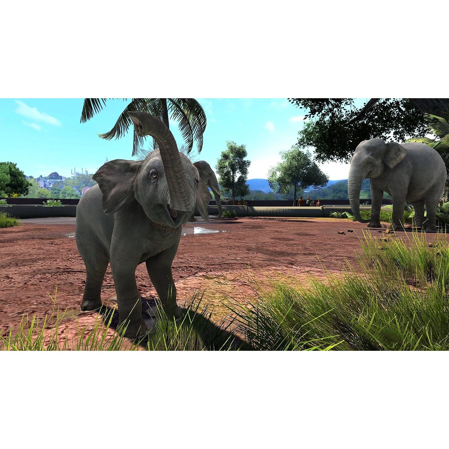 Buy Xbox One,Zoo Tycoon: Ultimate Animal Collection - Xbox One Game - Gadcet UK | UK | London | Scotland | Wales| Near Me | Cheap | Pay In 3 | Video Game Software