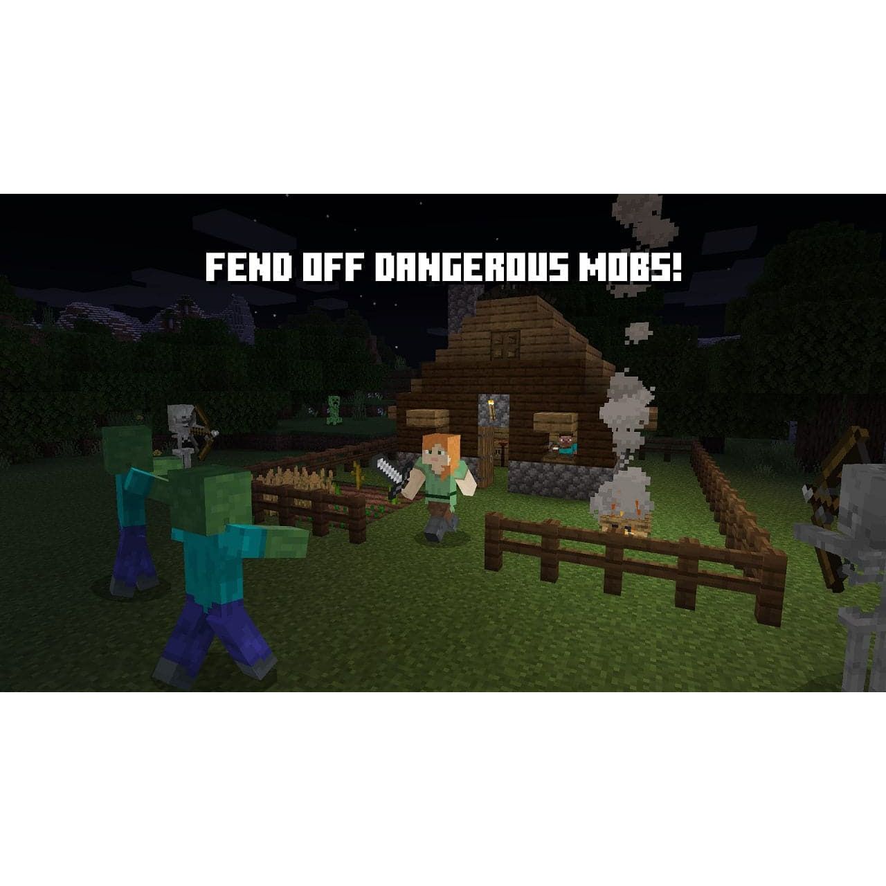 NSwitch_Minecraft_EN_03.jpg