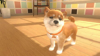 Nintendo,Little Friends: Dogs & Cats Nintendo Switch Game - Gadcet.com