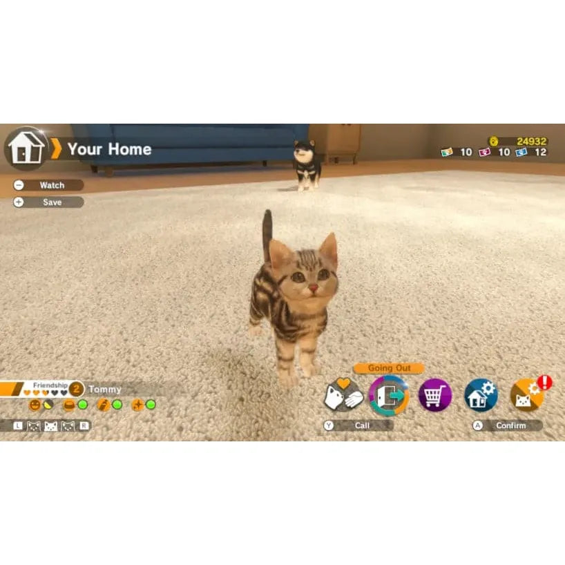 little-friendsdogsandcats-035.webp