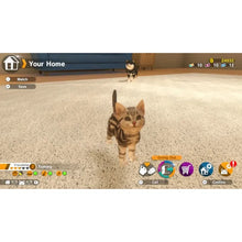 little-friendsdogsandcats-035.webp