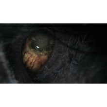 PS4,Bloodborne (PS4) - Gadcet.com
