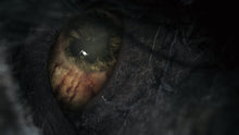 PS4,Bloodborne (PS4) - Gadcet.com