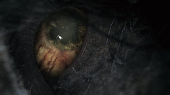 PS4,Bloodborne (PS4) - Gadcet.com