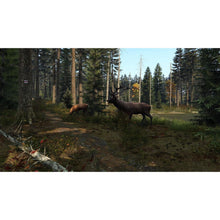 Dayz (PS4) - 9