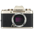 FUJIFILM X-T100 - 1