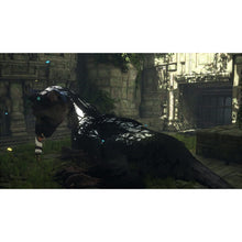playstation,The Last Guardian - Playstation 4 Games ( PS4 Games) - Gadcet.com