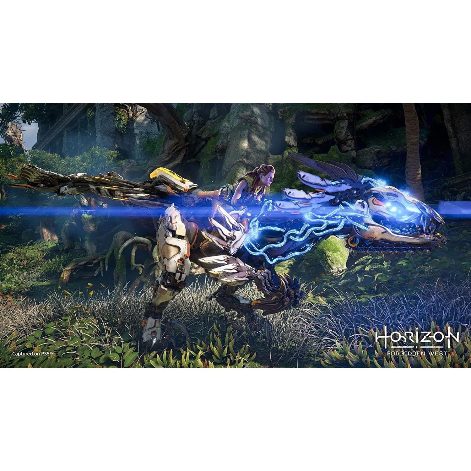 Buy Sony,Horizon Forbidden West for PS4 - Gadcet.com | UK | London | Scotland | Wales| Ireland | Near Me | Cheap | Pay In 3 | 