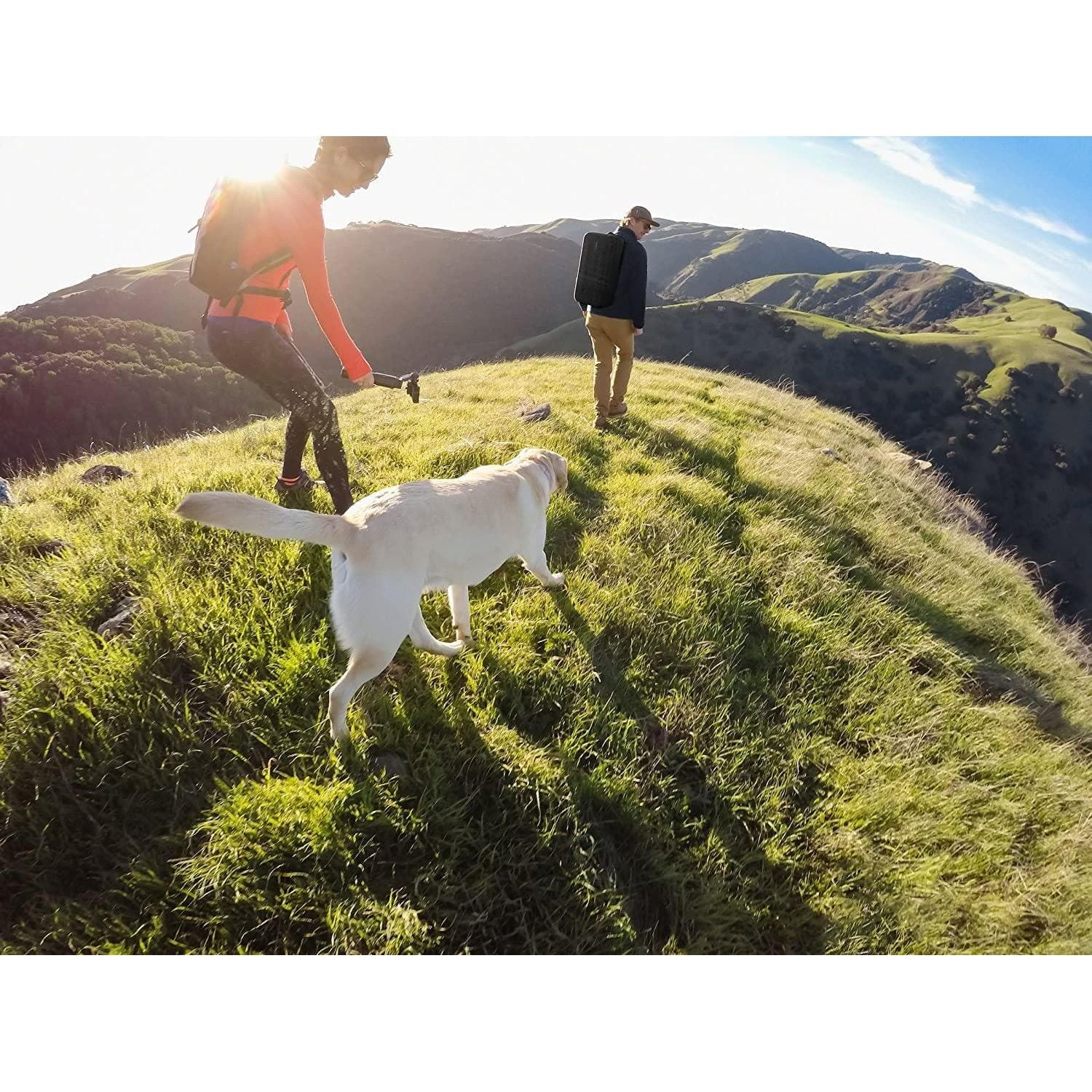 Buy GoPro,GoPro Karma Grip Stabilizer - Black - Gadcet.com | UK | London | Scotland | Wales| Ireland | Near Me | Cheap | Pay In 3 | Camera Stabilizers & Supports
