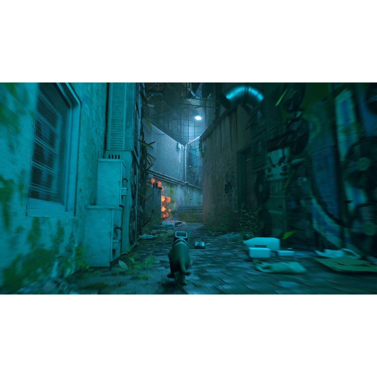 playstation,Stray - Playstation 5 (PS5) Games - Gadcet.com